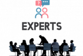 experts